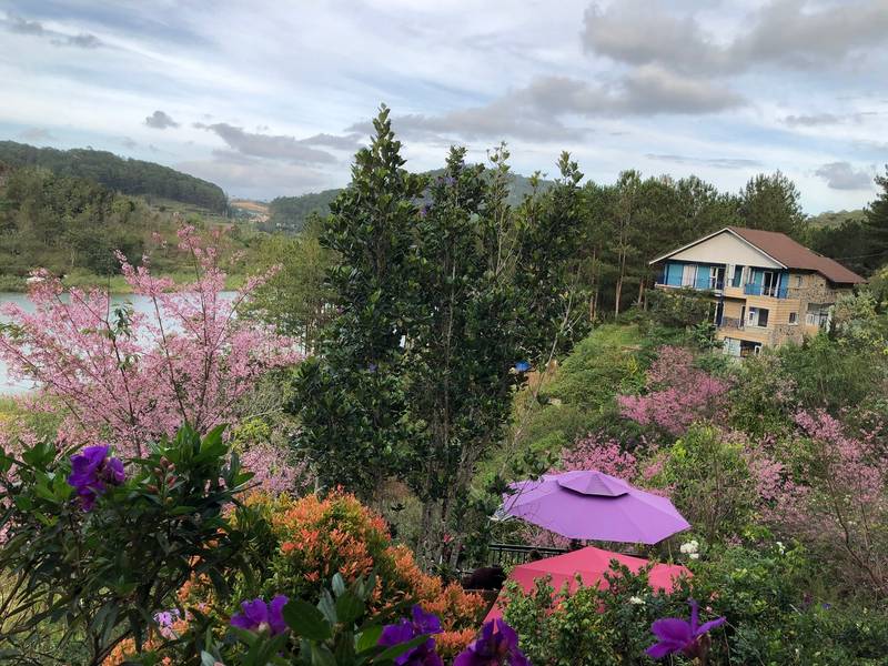 Chữa lành ở Đà Lạt