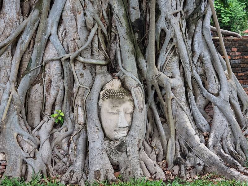 Cố đô Ayutthaya
