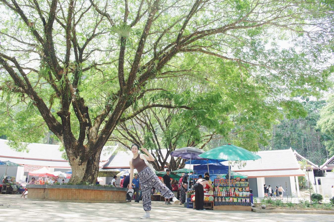 du lịch Luang Prabang Lào