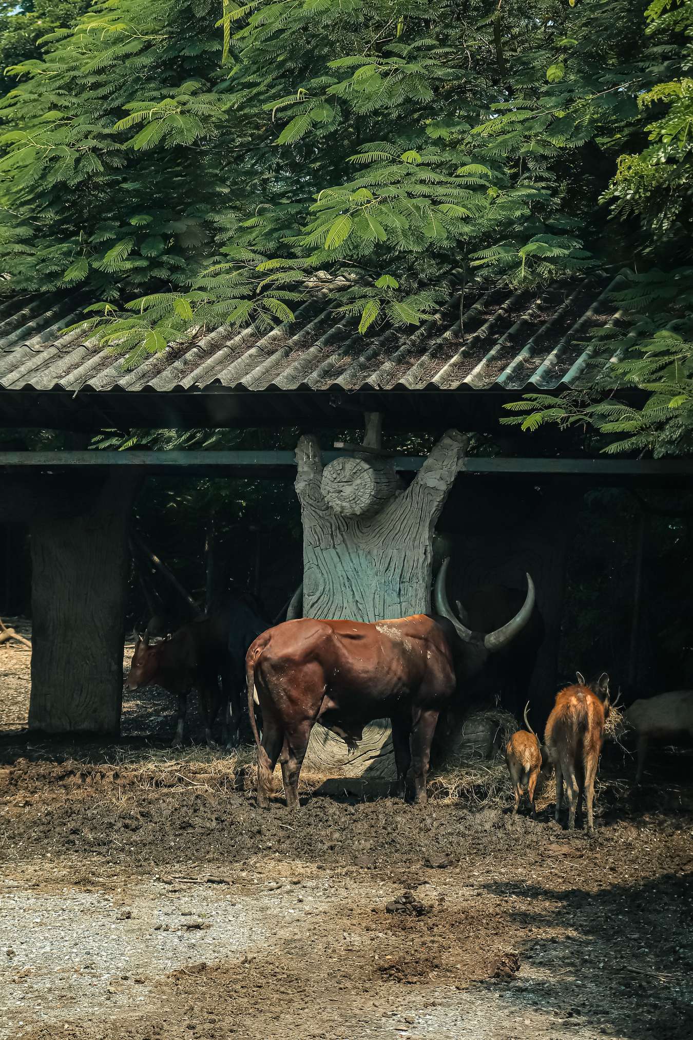 không gian xanh ở Bangkok