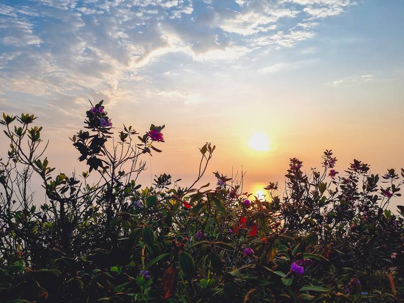 Núi rồng Nghệ An