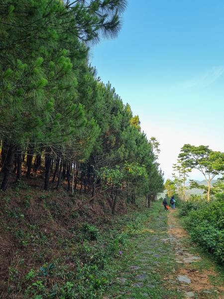 Núi rồng Nghệ An