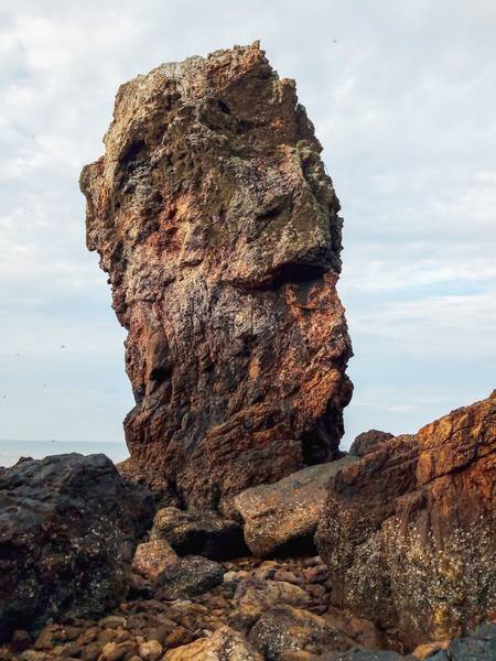 Núi rồng Nghệ An