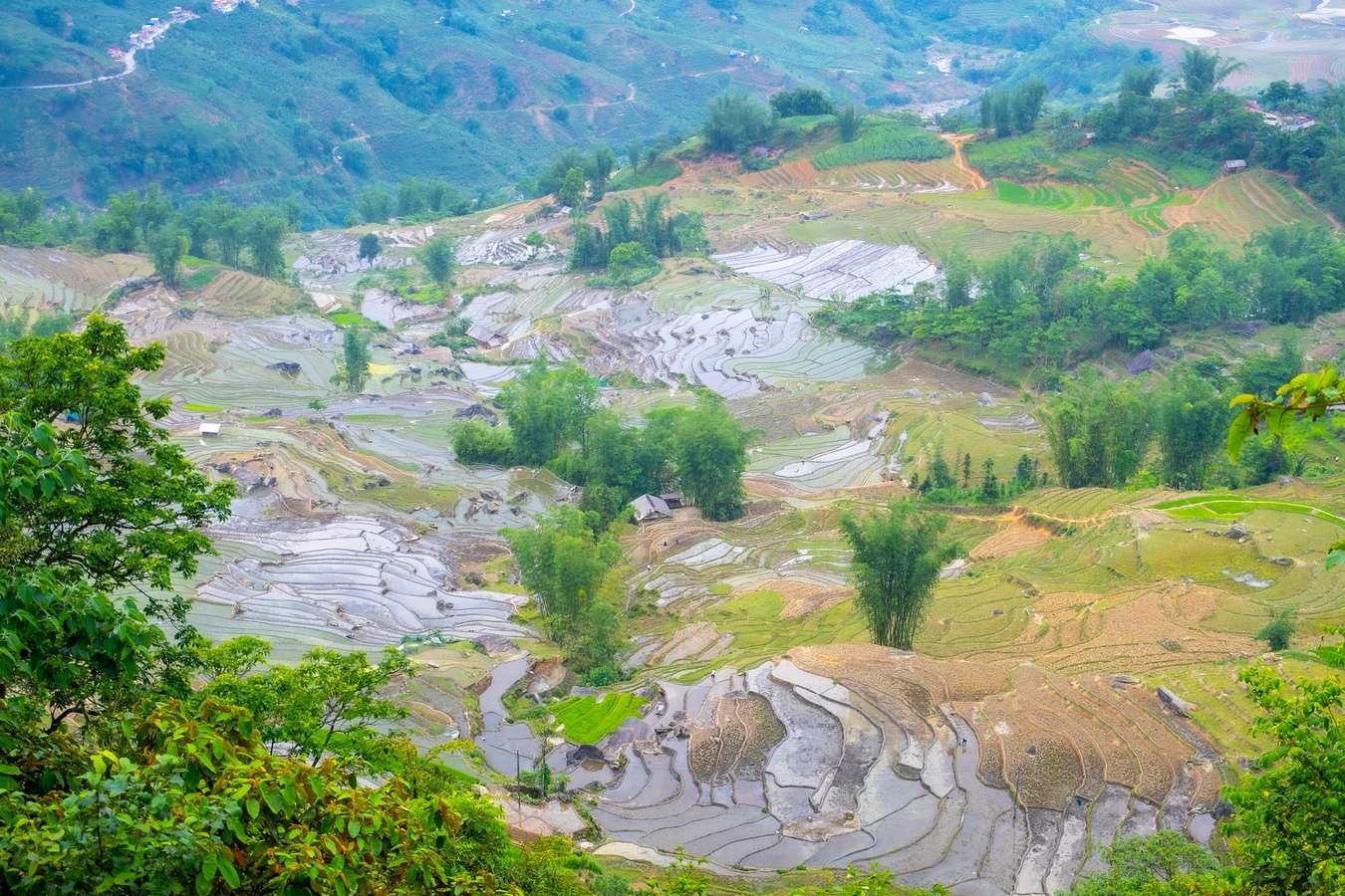 ruộng bậc thang mùa nước đổ Lào Cai