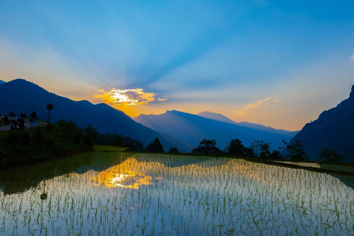 ruộng bậc thang mùa nước đổ Lào Cai