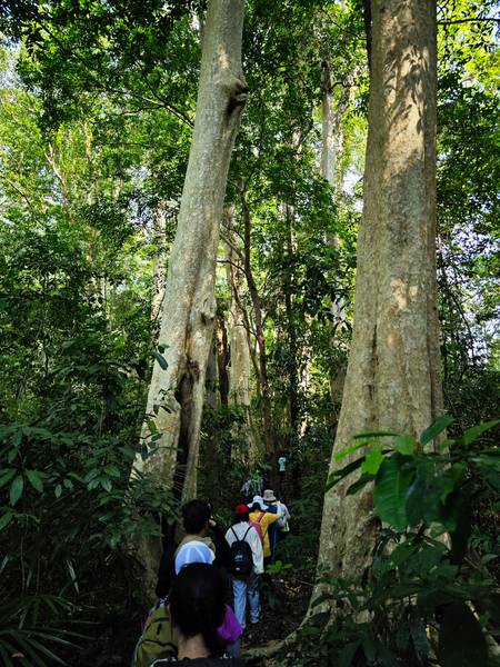 tà lài đồng nai