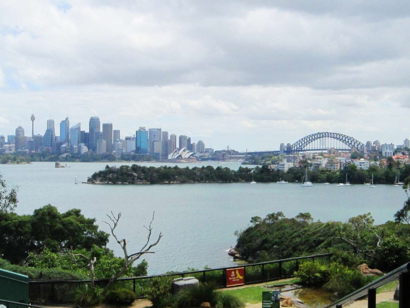 vườn thú Taronga Sydney