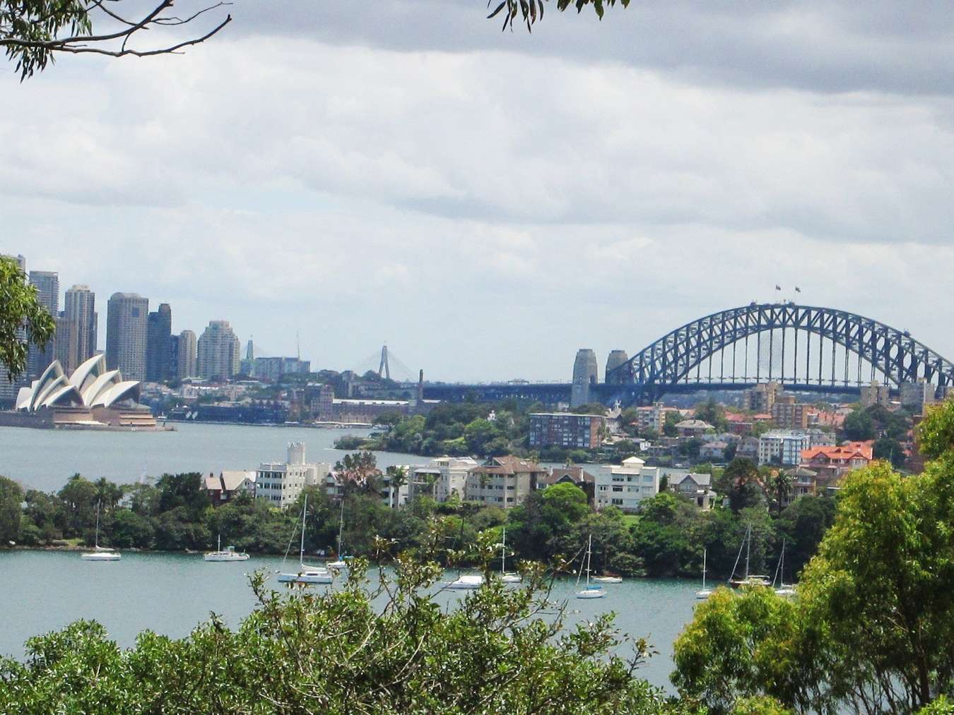 vườn thú Taronga Sydney