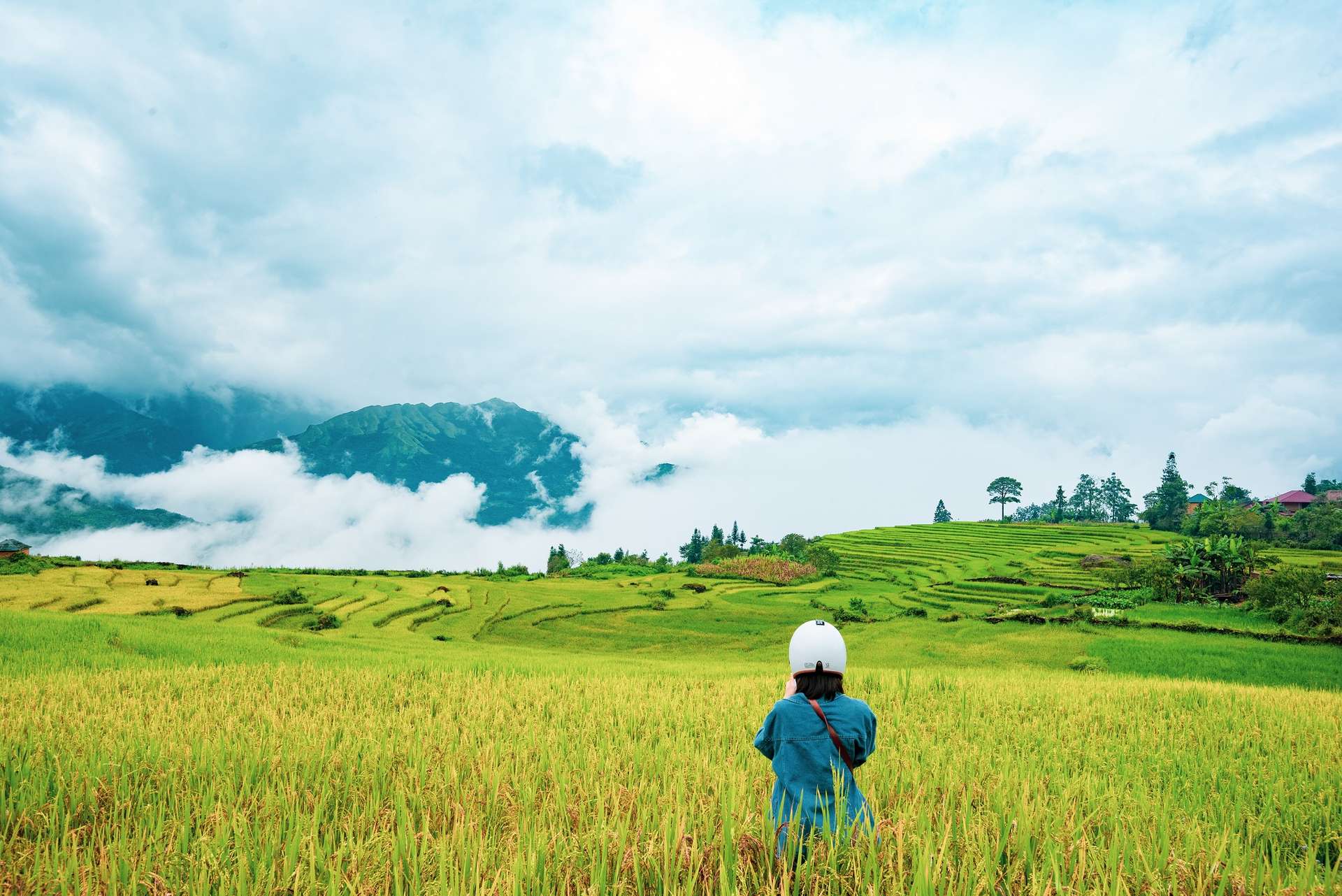 Y Tý mùa lúa chín đi hướng thành phố Lào Cai
