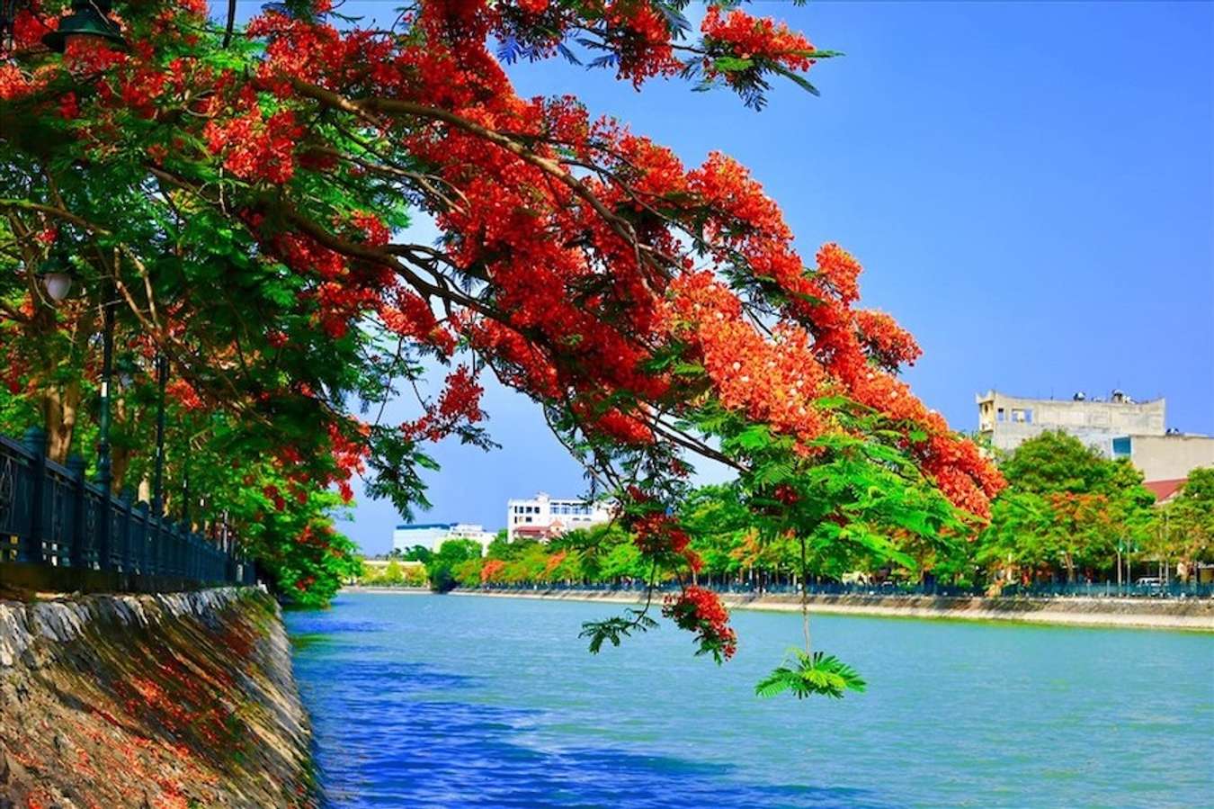 Đi dạo tại hồ Tam Bạc và thưởng thức một Hải Phòng rất nên thơ