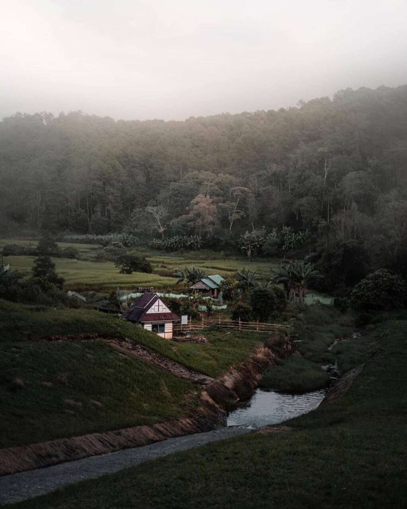 Rừng nguyên sinh ở Mae Hong Son