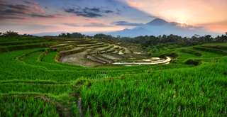 Getting Around Magelang, Indonesia, Globetrotter