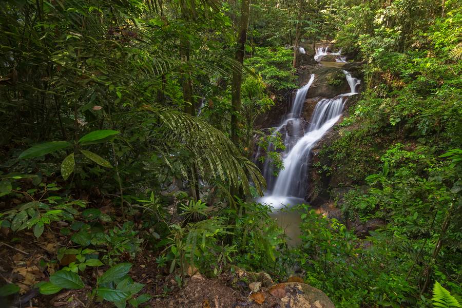 Air Terjun Sungai Pisang - Nature Staycation Selangor