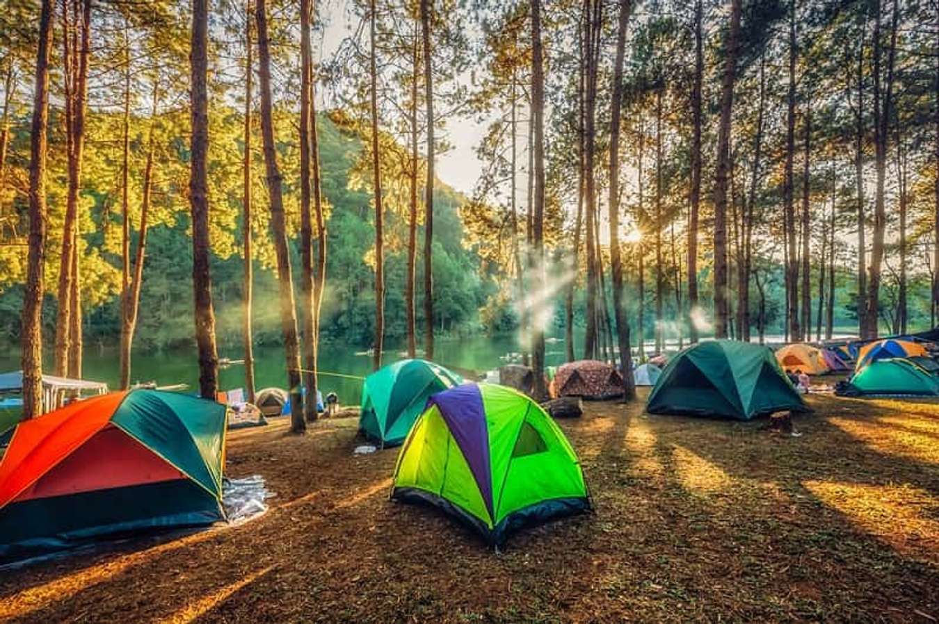 Cắm trại ngoài bìa rừng
