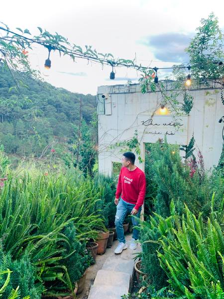 cà phê view đẹp đà lạt