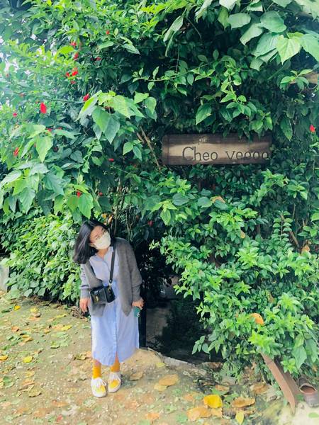 cà phê view đẹp đà lạt