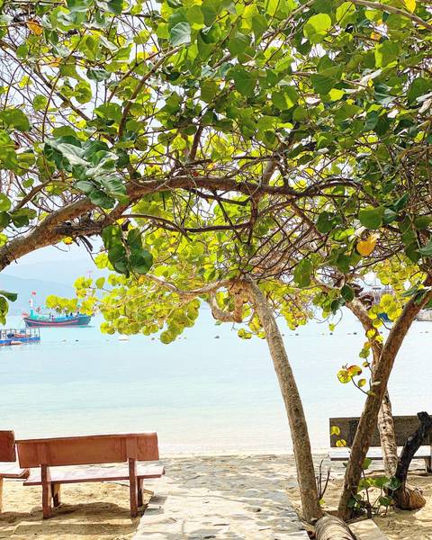 Công viên qua ống kính nhìn như tranh vẽ - Du lịch nha Trang mùa hè