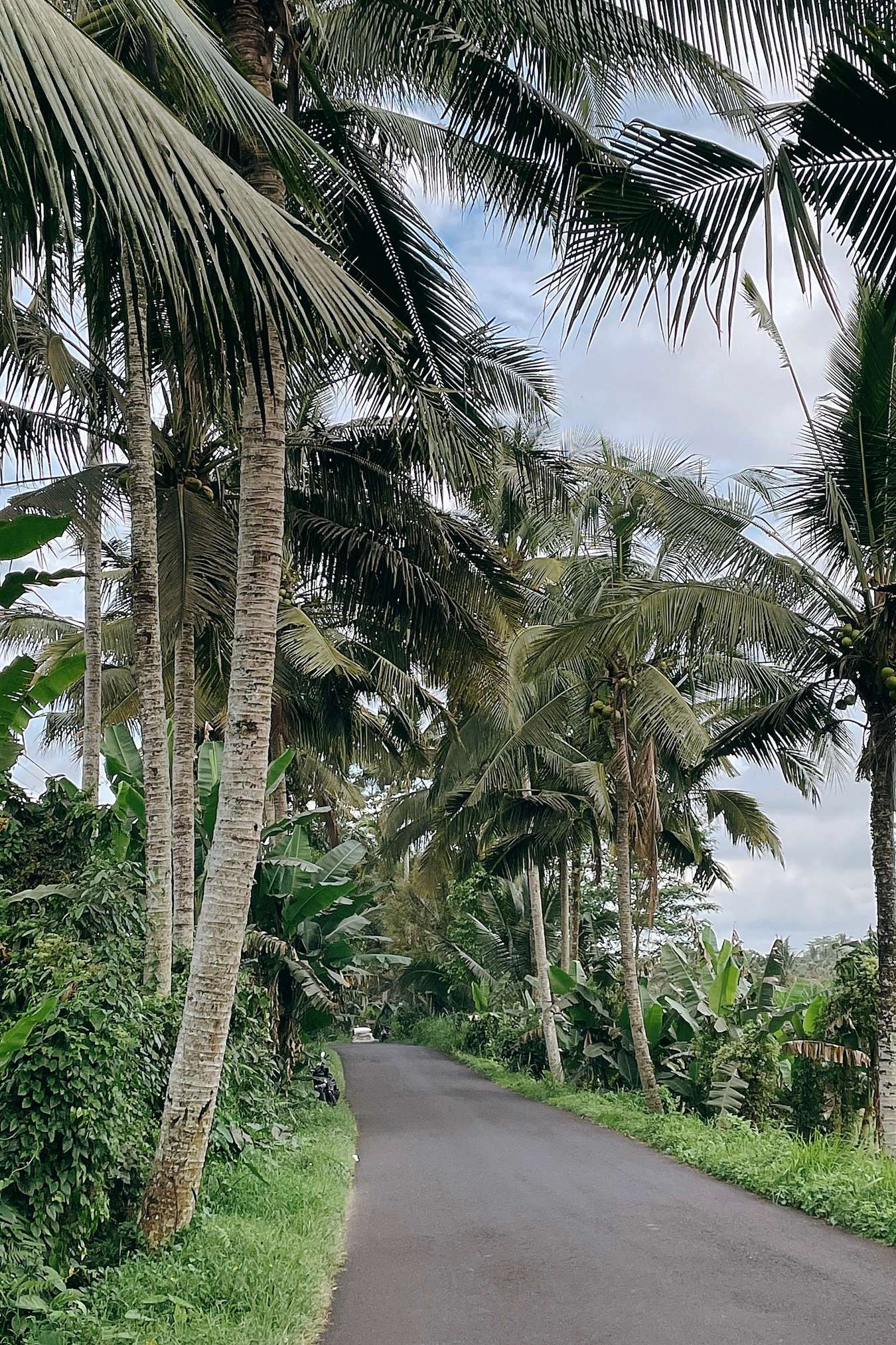 kinh nghiệm du lịch bali tự túc