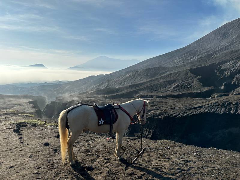 Đông JaVa - Indonesia
