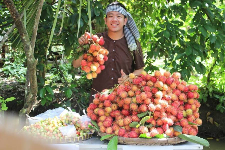 vườn trái cây Út Hồng