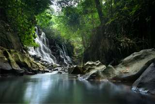 6 Air Terjun di Ubud Paling Unik, Ada yang Lokasinya di Dalam Gua!, Xperience Team