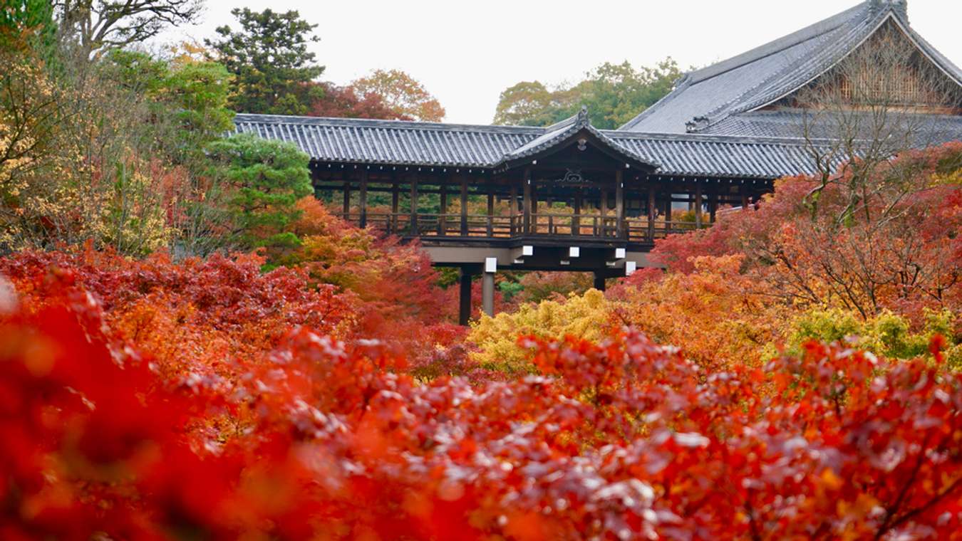 Tofukuji Temple