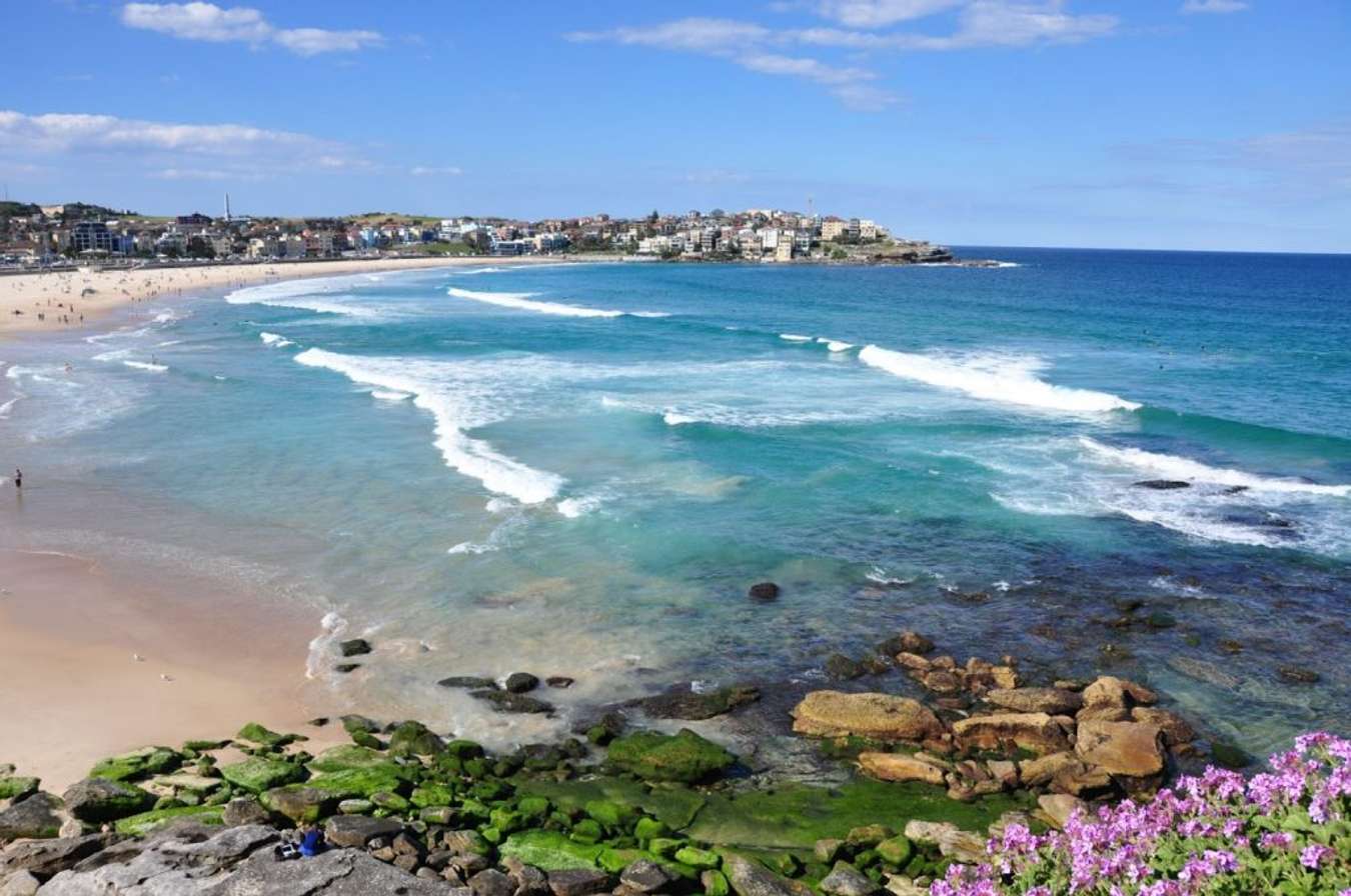 Bãi biển Bondi - Điểm đến ở Sydney không thể bỏ lỡ trong mùa hè này