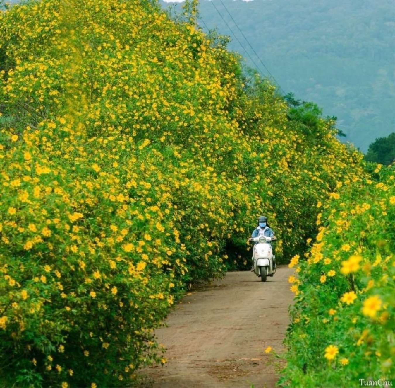 Đà Lạt vào mùa Thu