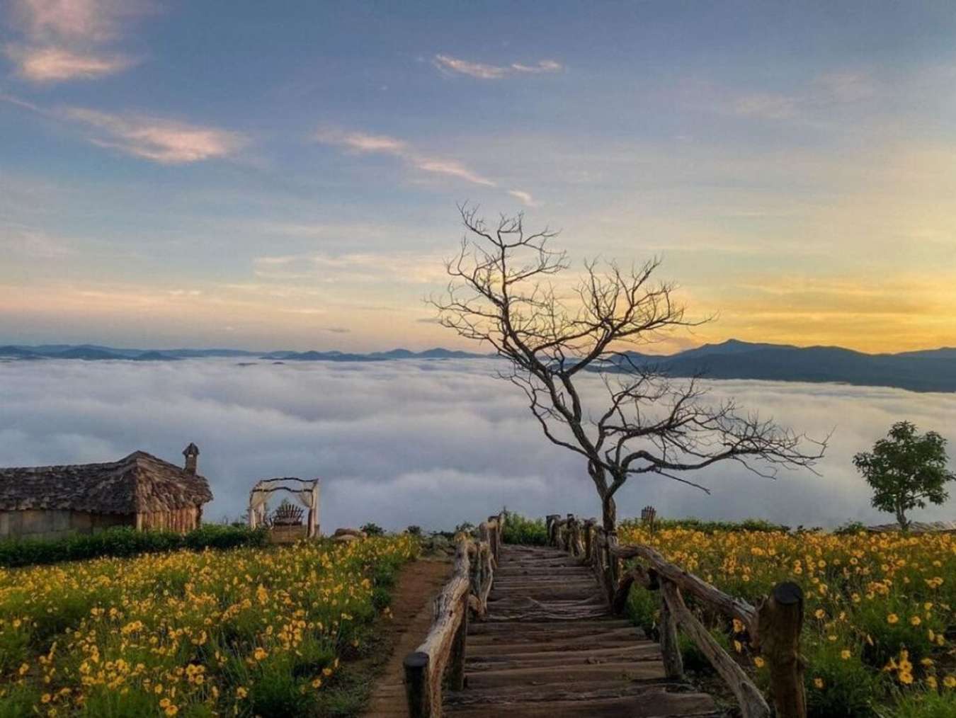 Đà Lạt vào mùa Đông