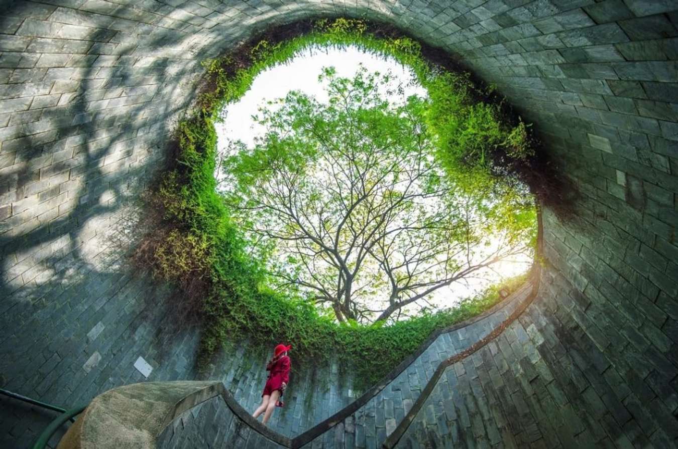 Đường hầm Fort Canning Tree - Fort Canning Park