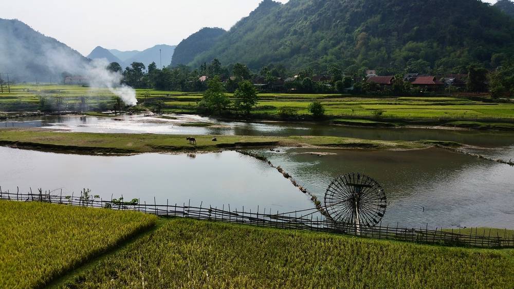 farmstay nhật minh nghệ an