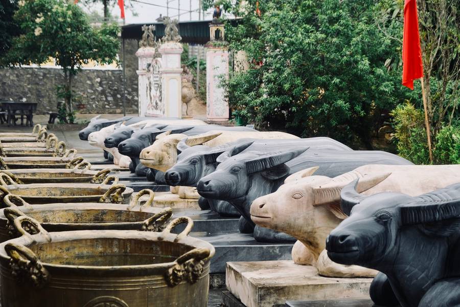 farmstay nhật minh nghệ an