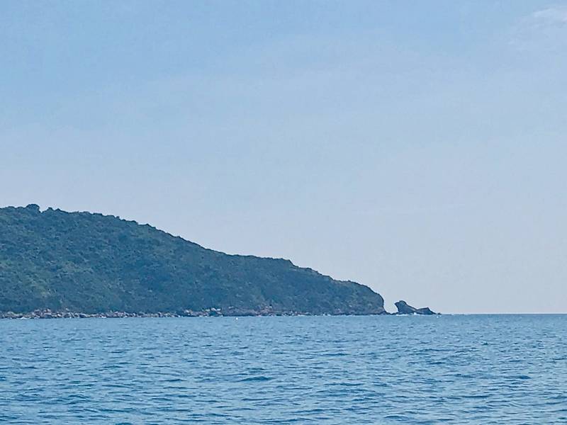 mũi nghê sơn trà