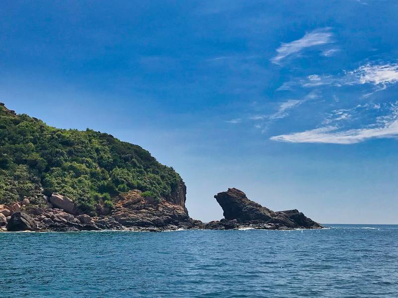 mũi nghê sơn trà
