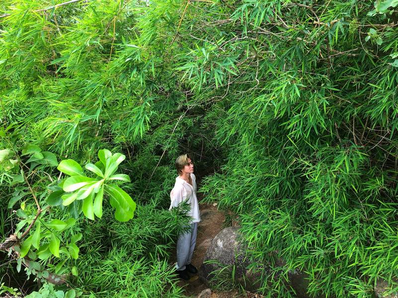 núi rừng vũng tàu