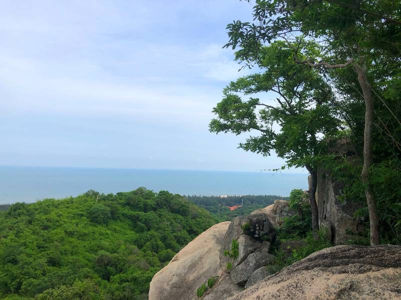 núi rừng vũng tàu