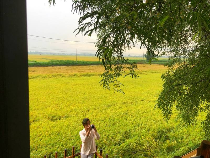 núi rừng vũng tàu