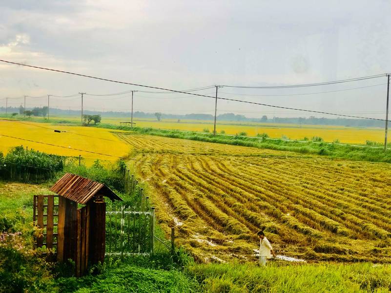 núi rừng vũng tàu