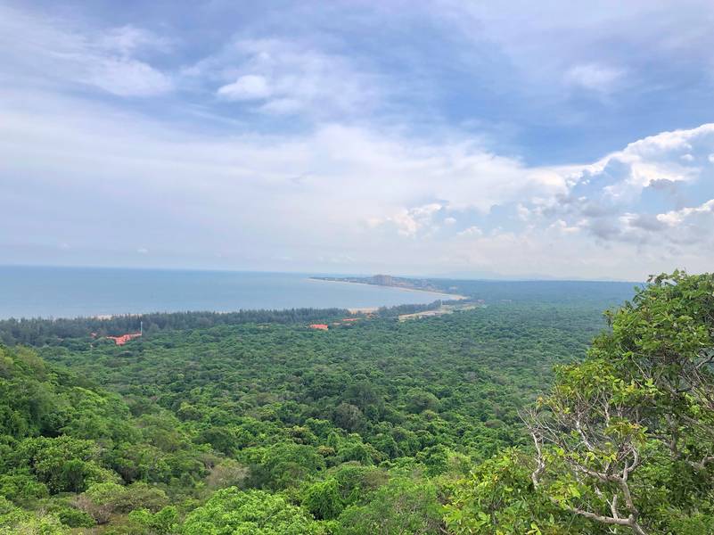 núi rừng vũng tàu