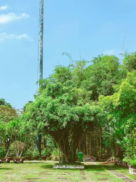 Văn Miếu Trấn Biên Đồng Nai