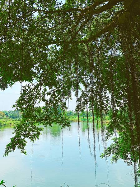 Văn Miếu Trấn Biên Đồng Nai