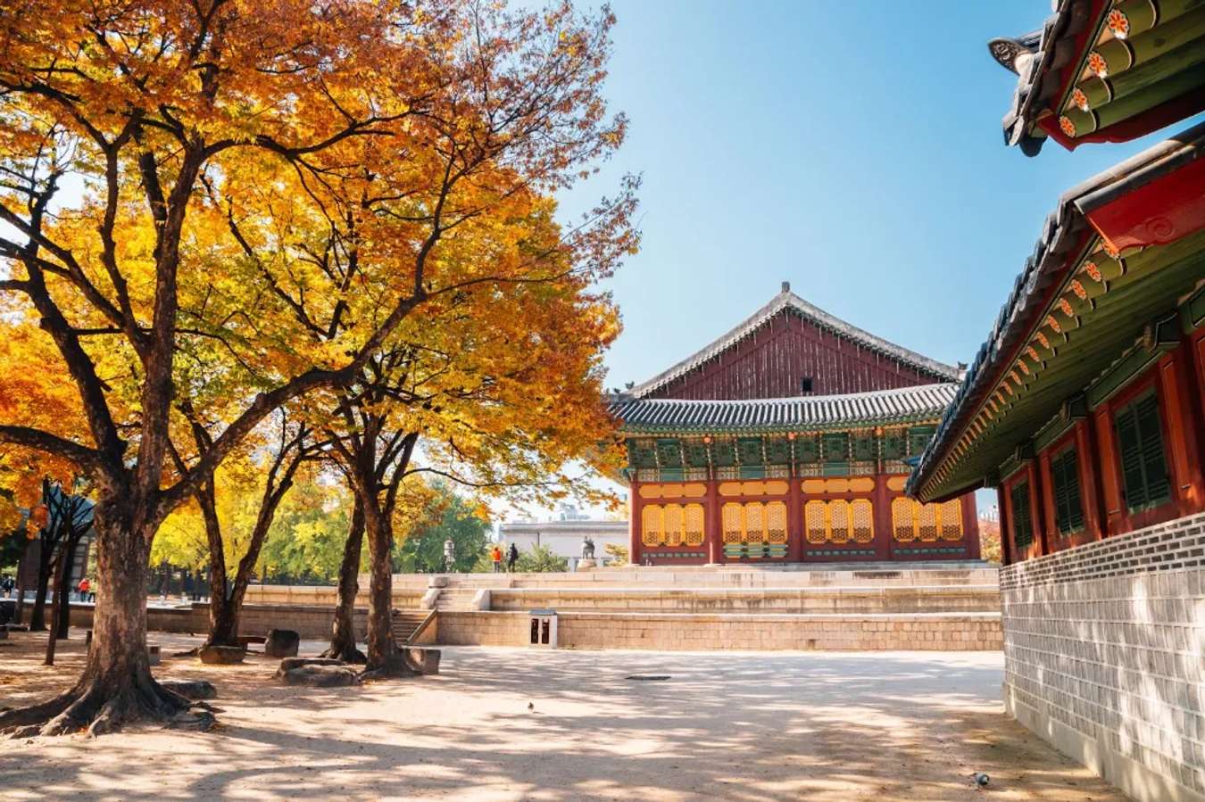 Cung điện Deoksugung với lá phong mùa thu Seoul 