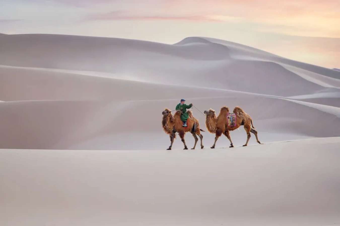 [Hình: sa-mac-gobi-acc-2.webp?tr=dpr-2,w-675]