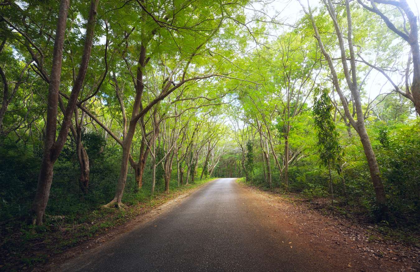 ambaguio nueva vizcaya tourist spot