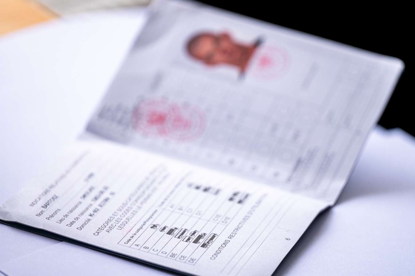 International Driving Permit (IDP) 