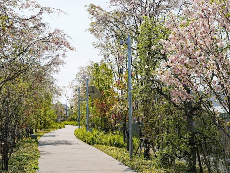 Tokorozawa Sakura Town