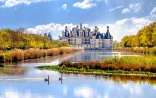 Chateau de Chambord - Cung điện lộng lẫy bậc nhất nước Pháp, Sói