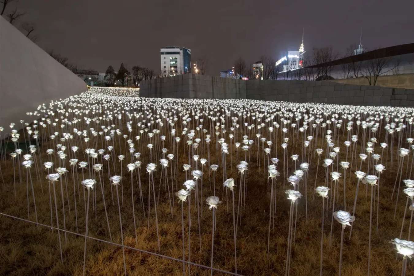 Không gian bên ngoài Dongdaemun Design Plaza 