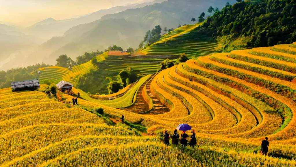 Kinh nghiệm du lịch Tây Bắc chi tiết từ A - Z năm 2025
