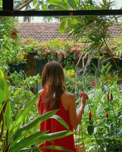 Homestay kiểu nhà vườn với nhiều góc chụp đẹp.